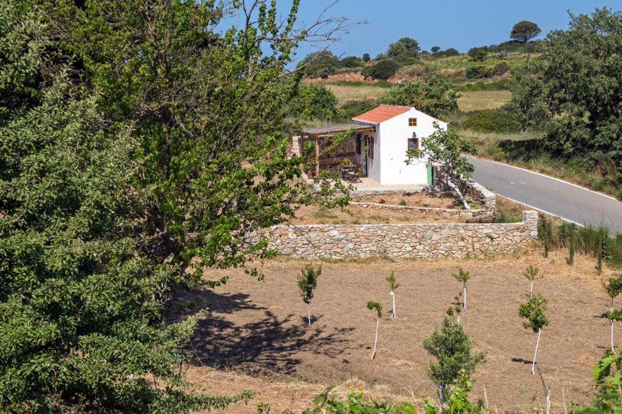 Villa The Pigeon House Potamos  Exterior foto